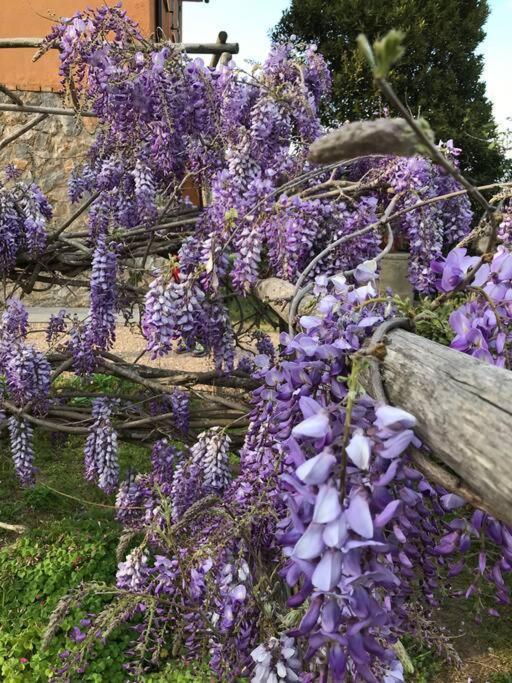 Agriturismo Il Sorbino - Appartamento Da Cocca Pian d'Alma Exteriör bild