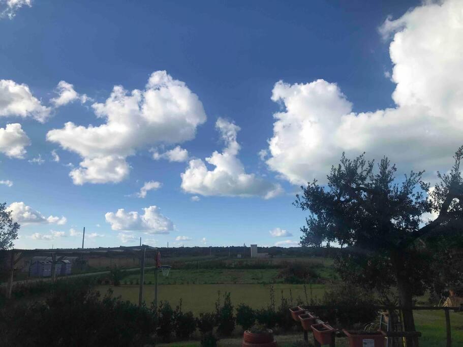 Agriturismo Il Sorbino - Appartamento Da Cocca Pian d'Alma Exteriör bild