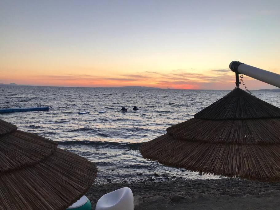 Agriturismo Il Sorbino - Appartamento Da Cocca Pian d'Alma Exteriör bild