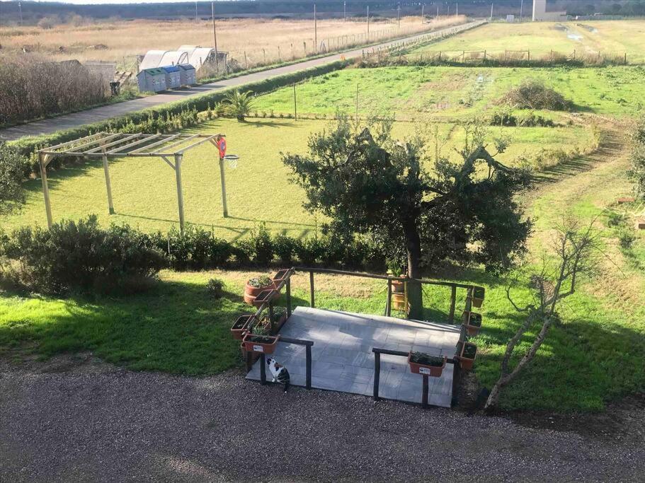 Agriturismo Il Sorbino - Appartamento Da Cocca Pian d'Alma Exteriör bild